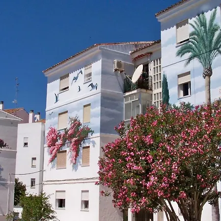 Pepe Vista Al Mar